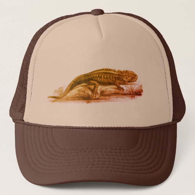 Vintage Sketch Garden Lizard Trucker Hat (Front)