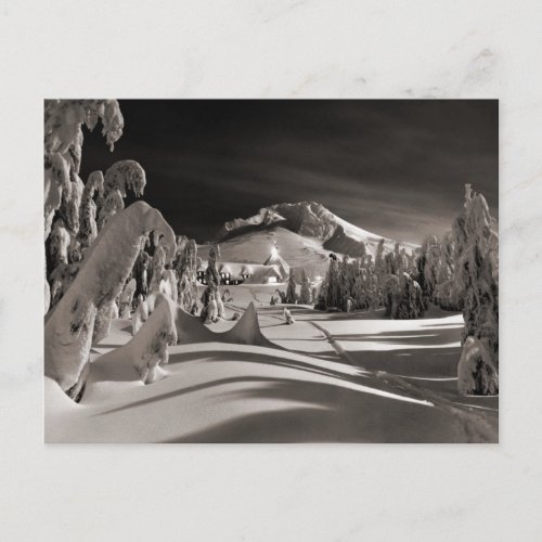 Vintage ski  image Ski trail through the trees Postcard