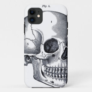 Vintage Skull Anatomy iPhone 11 Case