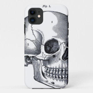 Vintage Skull Anatomy iPhone 11 Case