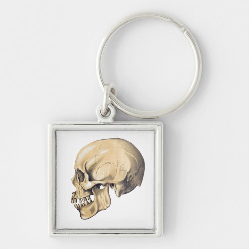 Vintage Skull Anatomy Illustration Keychain