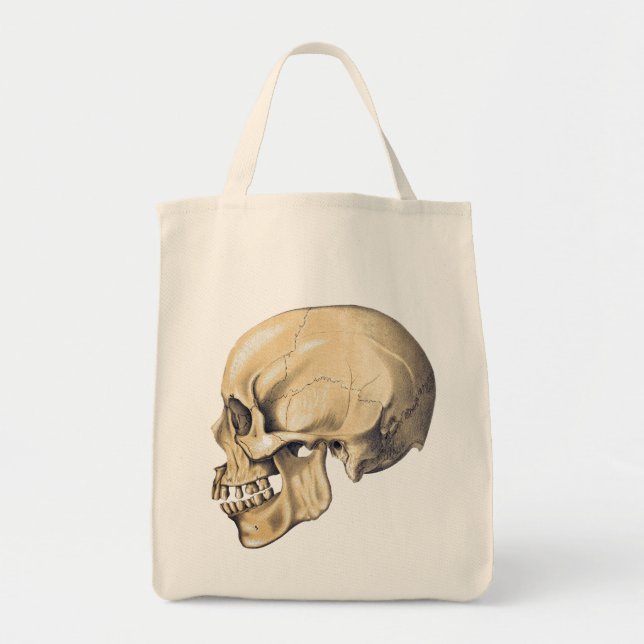 Vintage Skull Anatomy Illustration Tote Bag (Front)