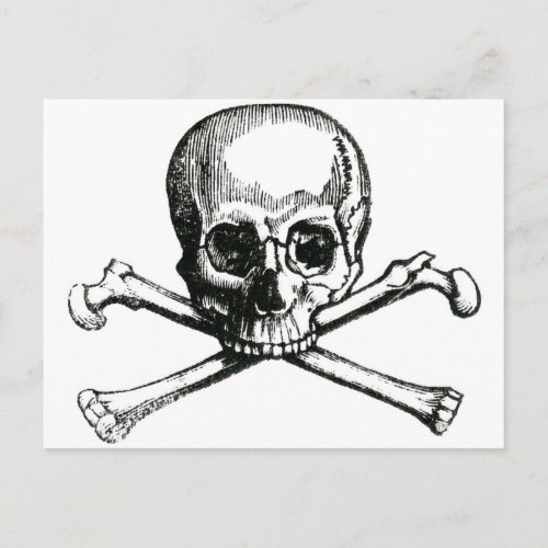 Vintage Skull and Crossbones Postcard