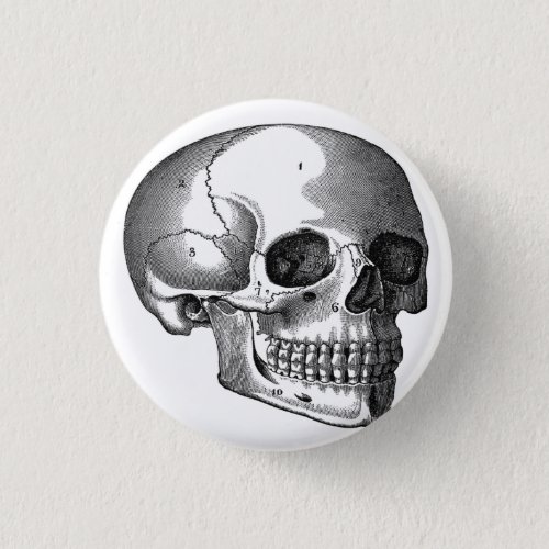 Vintage Skull Diagram Goth button pin