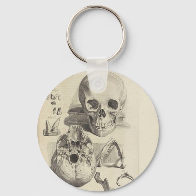 Vintage Skulls Keychain (Front)
