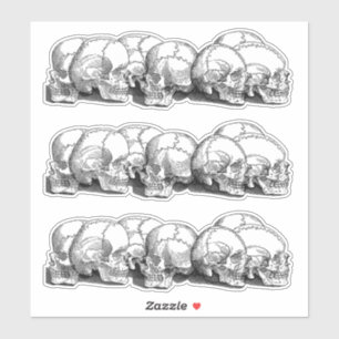 +   Vintage Skulls   + Sticker