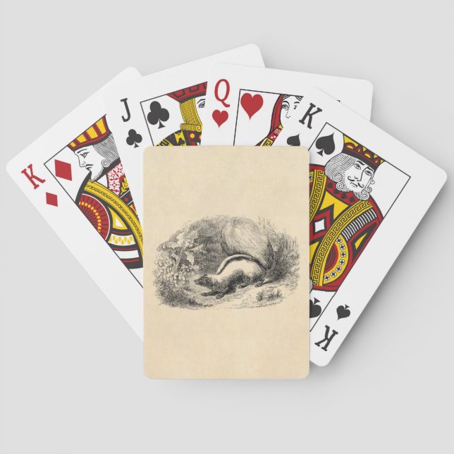 Vintage Skunk 1800s Skunks Illustration Template Poker Cards (Back)