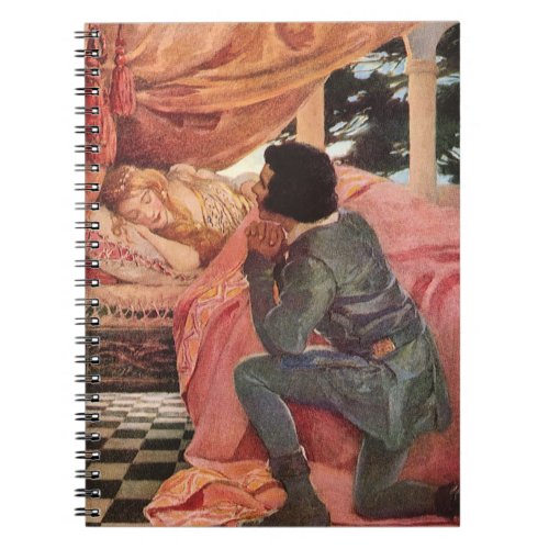 Vintage Sleeping Beauty by Jessie Willcox Smith Notebook