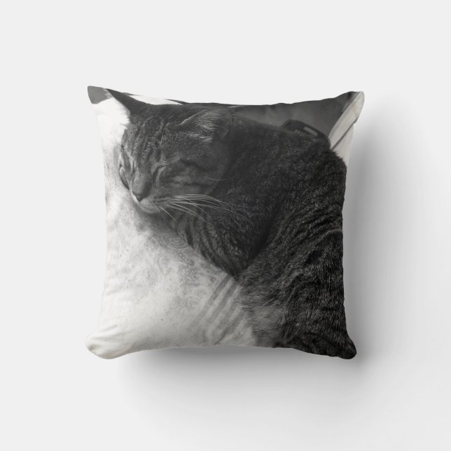 Vintage Sleeping Cat Photo | Throw Pillow (Front)