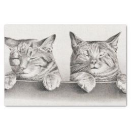 Vintage Sleeping Cats Lithograph, 1874 Decoupage Tissue Paper
