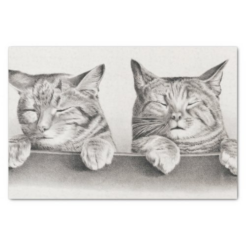 Vintage Sleeping Cats Lithograph 1874 Decoupage Tissue Paper