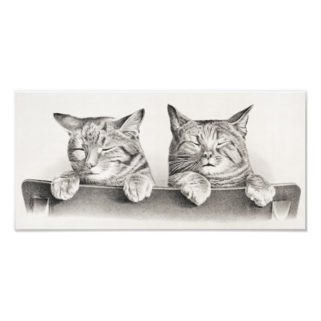 Vintage Sleeping Cats Lithograph, 1874 Photo Print (Front)
