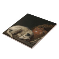 Gerrit dou hot sale sleeping dog