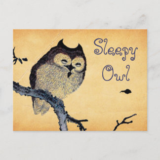 Vintage Sleepy Owl Postcard