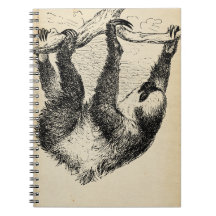 Vintage Sloth Illustration On Aged Paper Notepad /