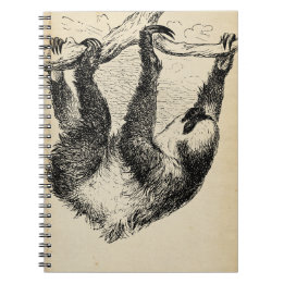 Vintage Sloth Illustration On Aged Paper Notepad / Notebook