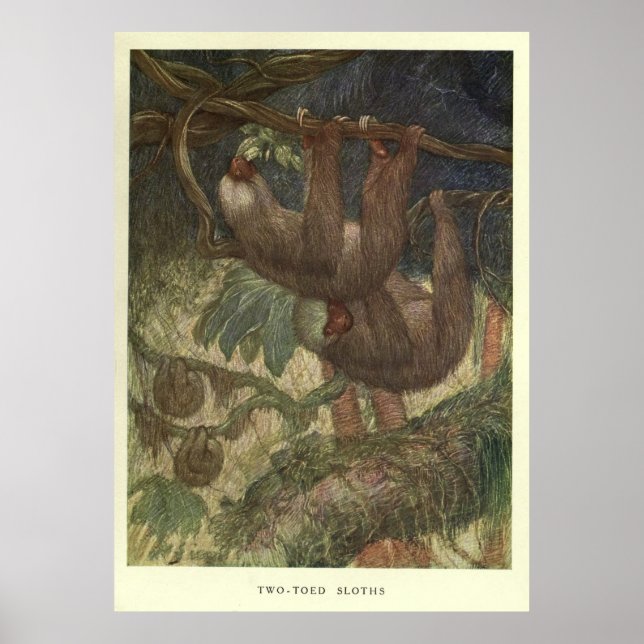 Vintage Sloth Painting (1919) Poster (Front)
