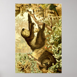 Vintage Sloths and Parrot in Jungle Poster