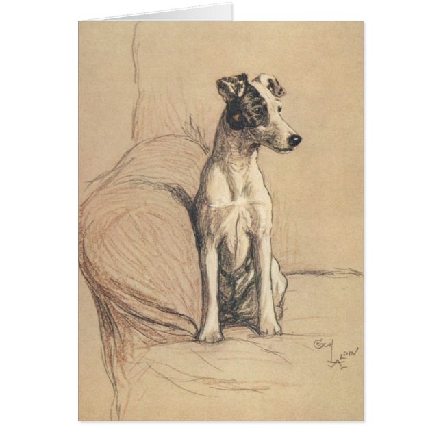 Vintage - Smooth Fox Terrier, (Front)