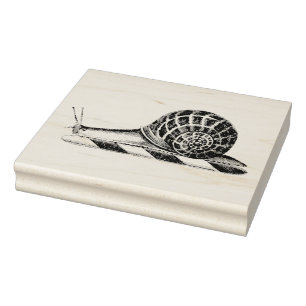 Vintage Snail Drawing Rubber Stamp