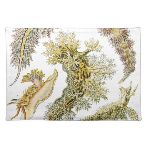 Vintage Snails and Sea Slugs by Ernst Haeckel Cloth Placemat