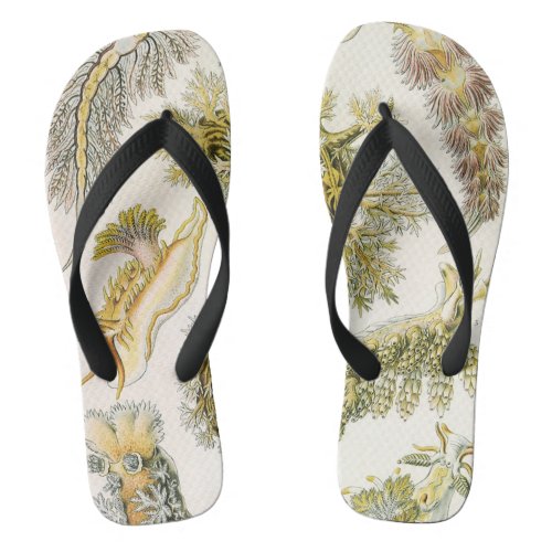 Vintage Snails and Sea Slugs by Ernst Haeckel Flip Flops