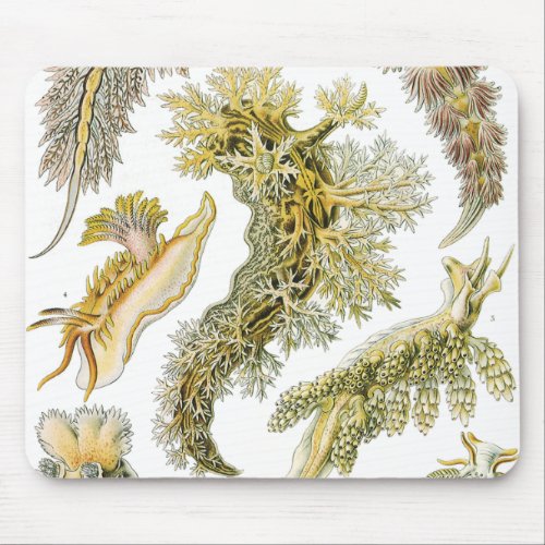 Vintage Snails and Sea Slugs by Ernst Haeckel Mouse Pad
