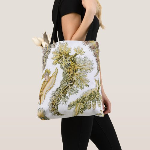 Vintage Snails and Sea Slugs by Ernst Haeckel Tote Bag