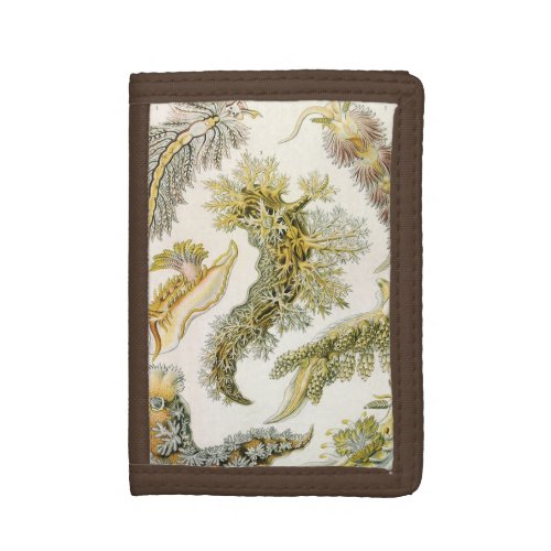 Vintage Snails and Sea Slugs by Ernst Haeckel Tri_fold Wallet