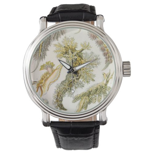 Vintage Snails and Sea Slugs by Ernst Haeckel Watch