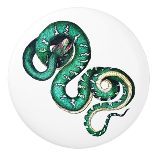 Vintage snake illustration reptile green white ceramic knob