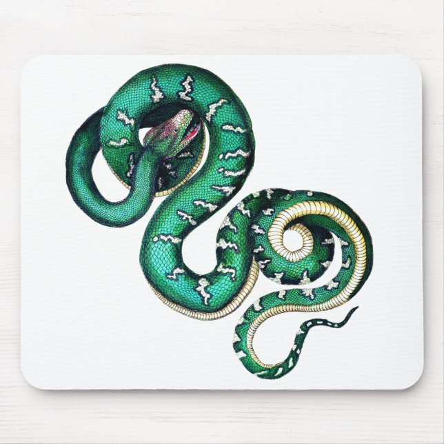 Vintage snake illustration reptile green white mouse pad (Front)
