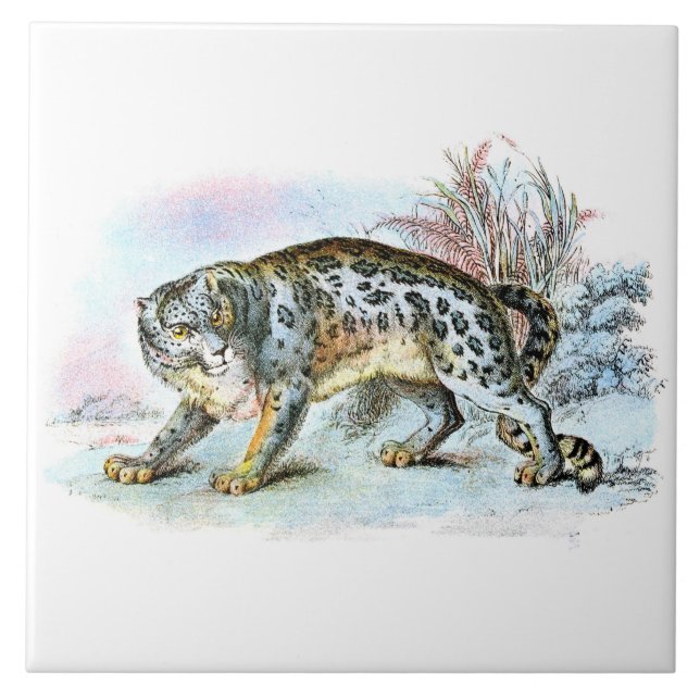 Vintage Snow Leopard Animal Illustration Ceramic Tile (Front)