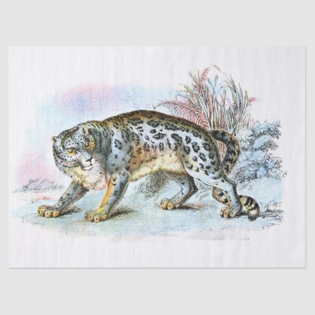 Vintage Snow Leopard Illustration Decoupage Tissue Paper (Front)