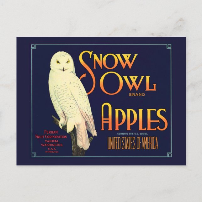 Vintage Snow Owl Apples Label Postcard (Front)