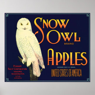 Vintage Snow Owl Apples Label Poster