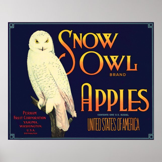 Vintage Snow Owl Apples Label Poster (Front)