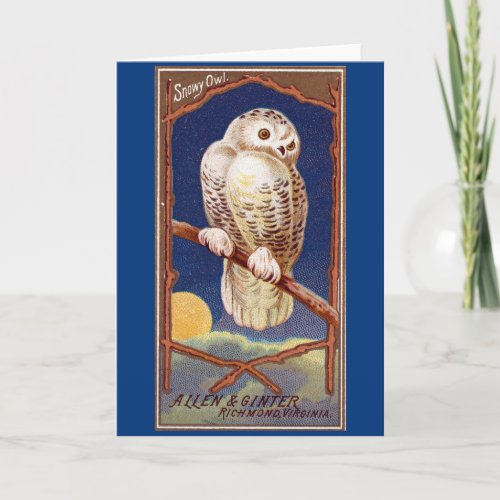Vintage snow owl  winter illustration blue white card