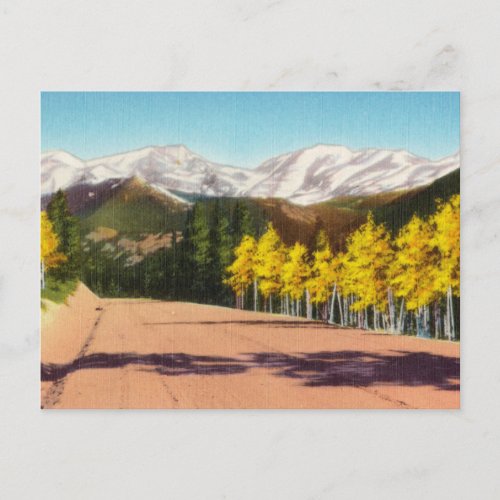 Vintage Snowy Mountain Tops through Park Postcard