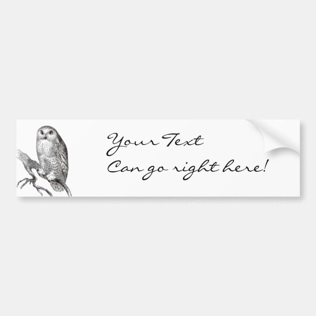 Vintage Snowy Owl Bumper Sticker (Front)
