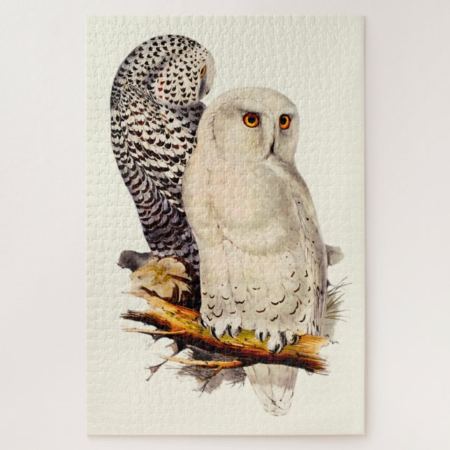 Vintage Snowy Owl Drawing Jigsaw Puzzle (Vertical)