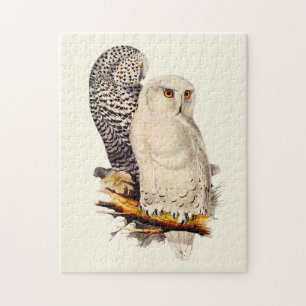Vintage Snowy Owl Drawing Jigsaw Puzzle