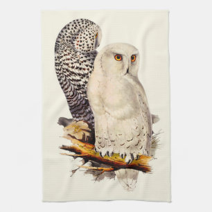 Vintage Snowy Owl Drawing Kitchen Towel