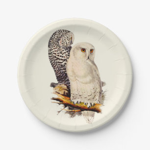 Vintage Snowy Owl Drawing Paper Plates