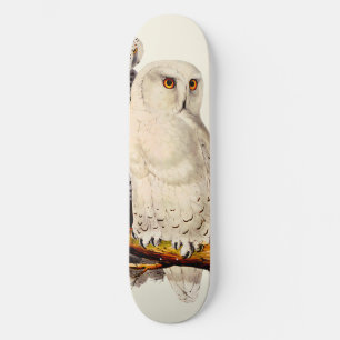 Vintage Snowy Owl Drawing Skateboard