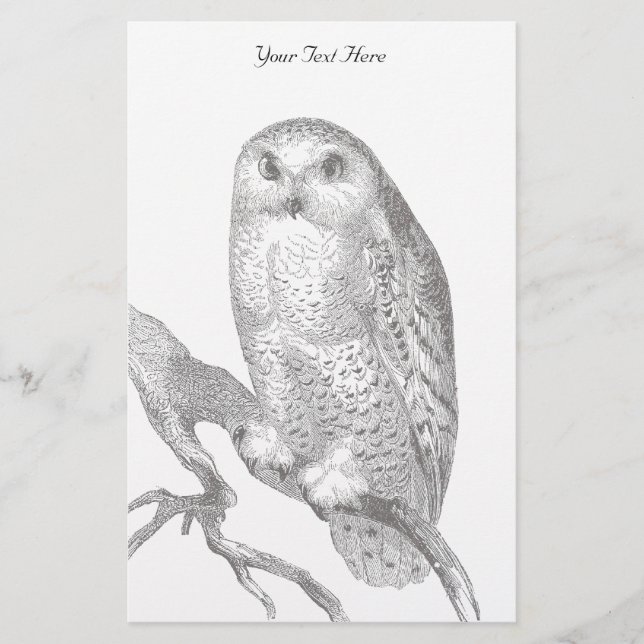 Vintage Snowy Owl Stationery (Front)