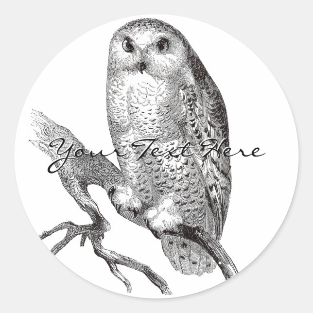 Vintage Snowy Owl Stickers (Front)