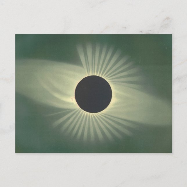 Vintage Solar Eclipse Illustration Postcard (Front)