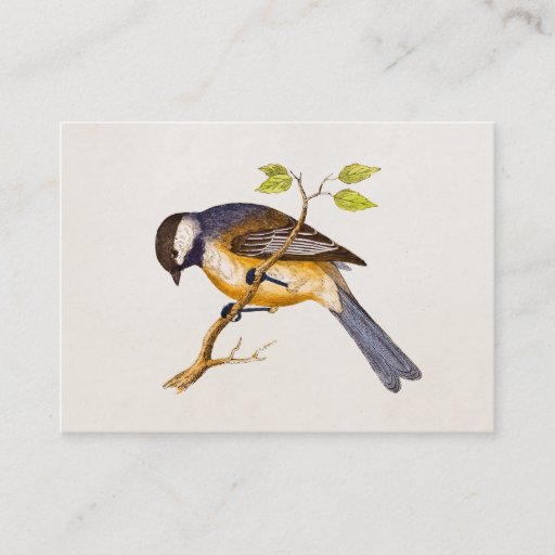 Customizable Vintage Song Bird Illustration - 1800's Birds Business Card Templates