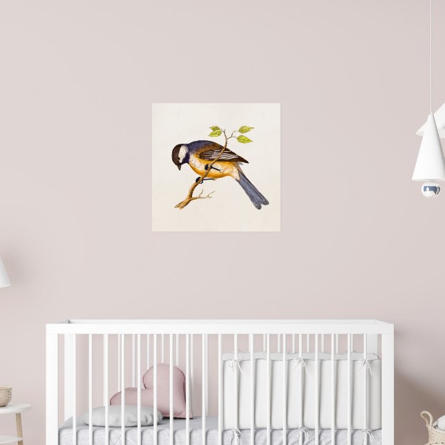 Vintage Song Bird Illustration - 1800's Birds Poster | Zazzle